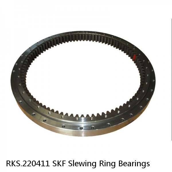 RKS.220411 SKF Slewing Ring Bearings