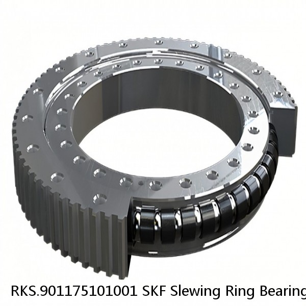 RKS.901175101001 SKF Slewing Ring Bearings