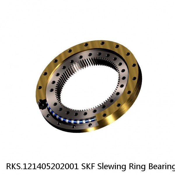 RKS.121405202001 SKF Slewing Ring Bearings