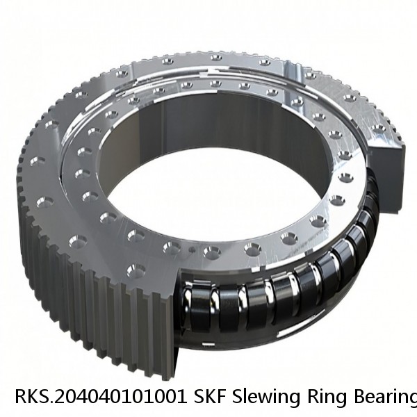 RKS.204040101001 SKF Slewing Ring Bearings