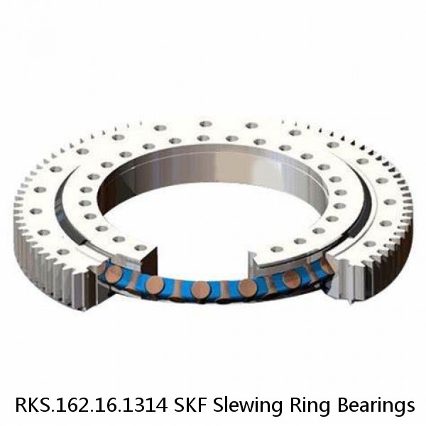 RKS.162.16.1314 SKF Slewing Ring Bearings